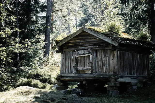 Vanha hirsiaitta metsän reunassa